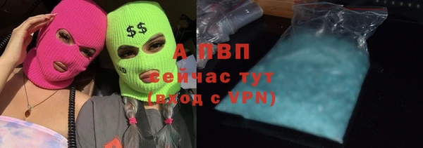 скорость Липки