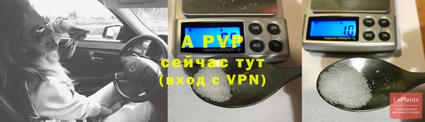 скорость Липки
