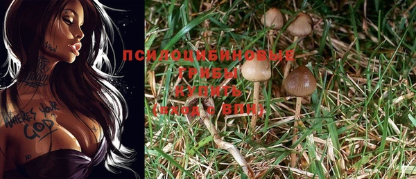 сатива Лиски