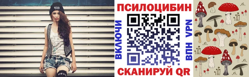 Галлюциногенные грибы GOLDEN TEACHER  купить наркотик  Шали 
