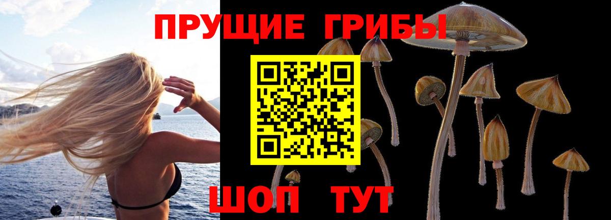 Псилоцибиновые грибы Cubensis  Вход с VPN  Псилоцибиновые грибы MAGIC MUSHROOMS  Шали 